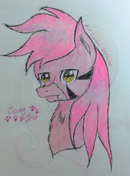 Size: 1279x1729 | Tagged: safe, artist:mudmee-thai, derpibooru import, oc, oc only, cat, cat pony, original species, bust, chest fluff, male, paw prints, signature, solo, stallion, traditional art