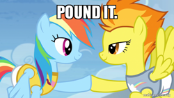 Size: 800x454 | Tagged: safe, derpibooru import, edit, edited screencap, screencap, rainbow dash, spitfire, pegasus, pony, equestria games (episode), caption, hoofbump, image macro, miraculous ladybug, pound it, text