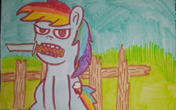 Size: 1280x801 | Tagged: safe, artist:dex stewart, derpibooru import, rainbow dash, pegasus, pony, knife, mouth hold, solo, traditional art