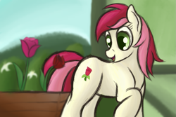 Size: 1125x750 | Tagged: safe, artist:ahorseofcourse, roseluck, earth pony, pony, female, flower, mare, open mouth, raised hoof, raised leg, rose, solo
