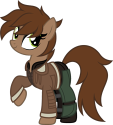 Size: 1632x1809 | Tagged: safe, artist:pegasski, derpibooru import, oc, oc:cali ajax, earth pony, pony, clothes, female, jacket, mare, simple background, solo, transparent background