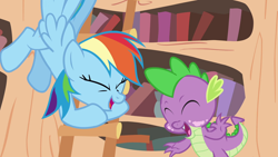 Size: 1920x1080 | Tagged: safe, derpibooru import, screencap, rainbow dash, spike, dragon, pegasus, pony, it's about time, season 2, eyes closed, female, golden oaks library, ladder, laughing, male, mare, open mouth