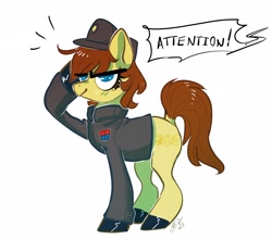 Size: 2028x1885 | Tagged: safe, artist:opalacorn, derpibooru import, oc, oc only, earth pony, pony, cap, clothes, dock, hat, imperial officer, salute, solo, star wars, uniform