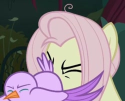 Size: 720x582 | Tagged: safe, derpibooru import, screencap, mean fluttershy, bird, the mean 6, clone, cropped, cursed image, meme, wtf