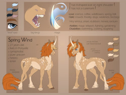 Size: 1920x1440 | Tagged: safe, artist:dementra369, derpibooru import, pony, unicorn, reference sheet, solo