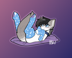 Size: 2500x2000 | Tagged: safe, artist:lionbun1, derpibooru import, cat, cat pony, original species, clothes, collar, commission, cute, lying down, on back, patreon, patreon reward, socks