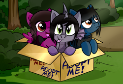Size: 2205x1507 | Tagged: safe, artist:tigresss, derpibooru import, earth pony, pegasus, pony, siren, baby, baby siren, box, bring me the horizon, cardboard box, clothes, colt, commission, curved horn, fins, foal, frown, grass, hair over one eye, happy, horn, kellin quinn, looking at you, male, oliver sykes, open mouth, outdoors, pierce the veil, ponified, pony in a box, sad, scales, shirt, sleeping with sirens, slit eyes, t-shirt, tongue, tongue out, tree, trio, vic fuentes, wings, ych result, younger
