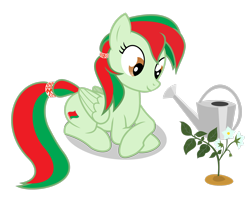 Size: 2738x2190 | Tagged: safe, artist:the-dark-tc, oc, oc only, pegasus, pony, belarus, crossed hooves, female, green coat, mare, nation ponies, pegasus oc, plant, prone, simple background, smiling, solo, transparent background, two toned mane, two toned tail, watering can, wings