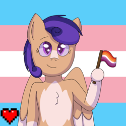 Size: 1000x1000 | Tagged: safe, artist:shycookieq, derpibooru import, oc, oc only, pegasus, pony, bust, commission, female, flag, heart, hoof hold, lesbian pride flag, mare, pegasus oc, pride, pride flag, smiling, solo, transgender pride flag, two toned wings, wings, ych result