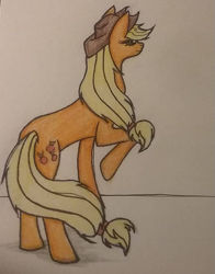 Size: 581x741 | Tagged: safe, artist:winterclaws22, derpibooru import, applejack, earth pony, pony, solo, traditional art