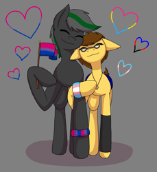 Size: 1080x1179 | Tagged: safe, artist:shycookieq, derpibooru import, oc, oc only, earth pony, pegasus, pony, bisexual pride flag, earth pony oc, eyes closed, gay, glasses, gray background, hoof hold, male, oc x oc, pegasus oc, pride, pride flag, shipping, simple background, smiling, transgender, transgender pride flag, two toned wings, wings