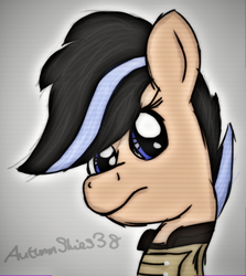 Size: 490x550 | Tagged: safe, artist:pegasski, derpibooru import, oc, oc only, earth pony, pony, fallout equestria, bust, clothes, earth pony oc, eyelashes, female, mare, solo