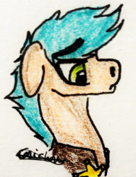 Size: 1559x2026 | Tagged: safe, artist:beamybutt, derpibooru import, oc, oc only, earth pony, pony, clothes, ears, earth pony oc, floppy ears, male, signature, solo, stallion, traditional art