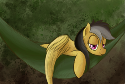 Size: 1425x950 | Tagged: safe, artist:ahorseofcourse, daring do, pegasus, pony, female, hammock, lidded eyes, missing accessory, solo