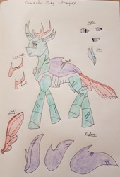 Size: 2663x3914 | Tagged: safe, artist:agdapl, derpibooru import, pharynx, changedling, changeling, male, reference sheet, signature, solo, traditional art