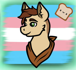 Size: 1000x920 | Tagged: safe, derpibooru import, oc, pony, bandana, bust, pride, pride flag, solo, transgender pride flag