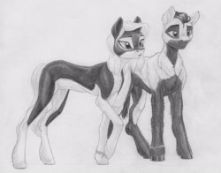 Size: 3995x3137 | Tagged: safe, artist:joestick, derpibooru import, oc, oc only, oc:arcalia, oc:kass, earth pony, pony, brother and sister, coat markings, earth pony oc, female, high res, male, monochrome, pencil drawing, siblings, socks (coat marking), traditional art