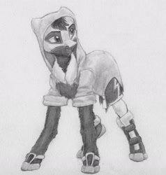 Size: 2332x2448 | Tagged: safe, artist:joestick, derpibooru import, oc, oc only, oc:kass, earth pony, pony, clothes, coat markings, hoodie, male, monochrome, pencil drawing, shoes, traditional art