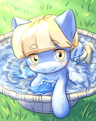 Size: 3120x3921 | Tagged: safe, artist:aquoquoo, derpibooru import, water spout, pegasus, pony, bird bath, birds doing bird things, colt, friendship student, high res, looking at you, male, solo, spread wings, water, wings
