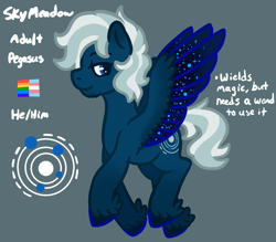 Size: 1600x1400 | Tagged: safe, artist:visionarybuffoon, derpibooru import, oc, oc:skymeadow, pegasus, pony, ethereal wings, gay pride flag, male, ponysona, pride, pride flag, reference sheet, solo, spread wings, transgender, transgender pride flag, wings