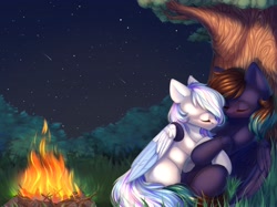 Size: 2732x2048 | Tagged: safe, artist:alphadesu, derpibooru import, oc, oc only, pegasus, pony, campfire, cuddling, female, forest, male, night, oc x oc, shipping