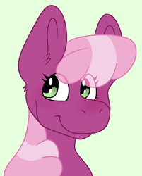 Size: 2348x2917 | Tagged: safe, artist:pidoveypaws, artist:stellarderp, derpibooru import, cheerilee, earth pony, pony, bust, eye clipping through hair, female, high res, mare, simple background, smiling, solo