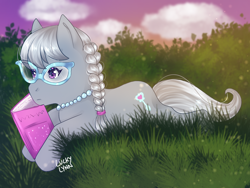 Size: 2048x1536 | Tagged: safe, artist:luckyxlynn, derpibooru import, silver spoon, earth pony, pony, book, female, filly, grass, lying in grass, outdoors, prone, reading, solo