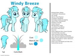 Size: 1024x768 | Tagged: safe, artist:windy breeze, derpibooru import, oc, oc:windy breeze, pegasus, pony, butt, cutie mark, looking at you, plot, reference sheet, simple background, solo, tail