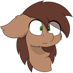 Size: 4880x4904 | Tagged: safe, artist:skylarpalette, derpibooru import, oc, oc only, pony, brown fur, brown mane, bust, green eyes, redraw, shocked, simple background, simple shading, stare, transparent background