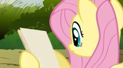 Size: 720x404 | Tagged: safe, derpibooru import, edit, edited screencap, screencap, fluttershy, pegasus, pony, putting your hoof down, exploitable meme, female, meme, paper, solo, template