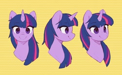 Size: 2728x1684 | Tagged: safe, artist:orchidpony, derpibooru import, twilight sparkle, unicorn twilight, pony, unicorn, bust, different angles, female, mare, portrait, practice, simple background, smiling, solo