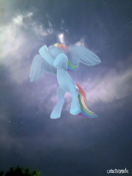 Size: 756x1008 | Tagged: safe, artist:catachromatic, derpibooru import, rainbow dash, pegasus, pony, cloud, digital painting, female, flying, from below, mare, night, real life background, signature, sky, sky background, solo, stars, tree, worm's eye view