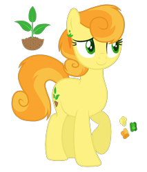 Size: 1700x2000 | Tagged: safe, artist:magicuniclaws, derpibooru import, oc, earth pony, pony, female, mare, offspring, parent:braeburn, parent:carrot top, simple background, solo, transparent background