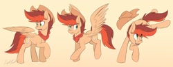 Size: 1200x468 | Tagged: safe, artist:kaylerustone, derpibooru import, oc, oc only, oc:kayle rustone, pegasus, pony, clothes, cowboy hat, flying, hat, kicking, looking back, looking down, looking up, male, open mouth, scarf, stallion, wings