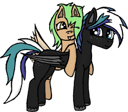 Size: 2663x2330 | Tagged: safe, artist:duskendraws, oc, oc only, oc:kafziel, oc:neikea, pegasus, pony, ponybooru collab 2021, female, females only, freckles, shipping, unshorn fetlocks