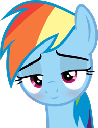 Size: 3078x4000 | Tagged: safe, artist:coolrainbow20, artist:slb94, derpibooru import, edit, rainbow dash, pegasus, pony, drunk, drunker dash, smiling, smirk, vector, vector edit