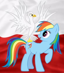 Size: 1400x1600 | Tagged: safe, derpibooru import, rainbow dash, bird, eagle, poland