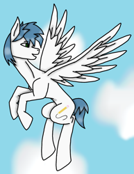 Size: 925x1200 | Tagged: safe, alternate version, artist:agdapl, derpibooru import, oc, oc only, oc:white quartz, pegasus, pony, flying, looking back, male, pegasus oc, solo, stallion