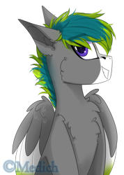 Size: 1861x2613 | Tagged: safe, artist:mediasmile666, derpibooru import, oc, oc only, pegasus, pony, male, simple background, sitting, smiling, solo, stallion, transparent background, two toned wings, wings
