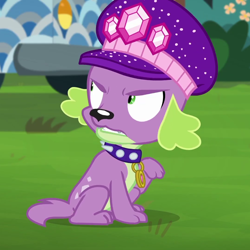 Size: 1080x1080 | Tagged: safe, derpibooru import, screencap, spike, spike the regular dog, dog, better together, equestria girls, lost and pound, lost and pound: spike, collar, cropped, grass, hat, jewel, solo, spiked collar