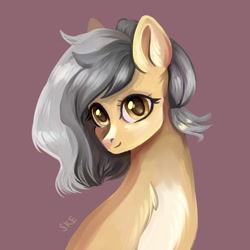 Size: 1200x1200 | Tagged: safe, artist:ske, derpibooru import, oc, oc only, earth pony, pony, solo