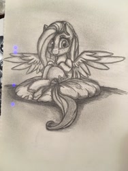 Size: 768x1024 | Tagged: safe, artist:miokomata, derpibooru import, fluttershy, pegasus, pony, cute, female, freckles, freckleshy, grayscale, mare, monochrome, pencil drawing, photo, pillow, shyabetes, sitting, solo, spread wings, traditional art, unshorn fetlocks, wings