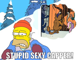 Size: 776x600 | Tagged: safe, artist:tonyfleecs, edit, editor:color anon, idw, screencap, capper dapperpaws, fluttershy, anthro, cat, human, comic, homer simpson, image macro, stupid sexy capper, the simpsons