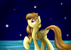 Size: 1024x720 | Tagged: safe, artist:mercurycraft7, derpibooru import, oc, oc:alice, bird, pegasus, baby phoenix, eyes closed, female, folded wings, long tail, looking up, mare, night, night sky, pegasus oc, sky, solo, stars, wings