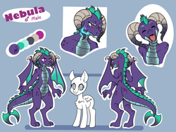 Size: 3471x2603 | Tagged: safe, artist:skuttz, derpibooru import, oc, oc only, oc:nebula, dragon, color palette, commission, dragon oc, male, reference sheet, solo, text