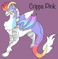 Size: 1280x1295 | Tagged: safe, artist:silver-ops, derpibooru import, oc, oc only, oc:cripps pink, draconequus, hybrid, draconequus oc, interspecies offspring, magical gay spawn, male, offspring, parent:big macintosh, parent:discord, parents:discomac, purple background, simple background, solo