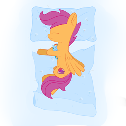 Size: 3600x3600 | Tagged: artist needed, safe, derpibooru import, rainbow dash, scootaloo, pegasus, pony, blanket, pillow, plushie, sleeping