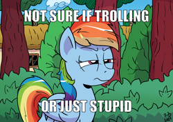 Size: 3070x2171 | Tagged: safe, artist:pony-berserker, derpibooru import, rainbow dash, pegasus, pony, caption, exploitable meme, fry meme, futurama, meme, not sure if, ponyville, reaction image, text