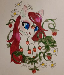 Size: 640x749 | Tagged: safe, artist:creeate97, derpibooru import, sugarberry, earth pony, pony, g1, female, food, mare, simple background, solo, strawberry, traditional art, white background