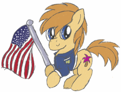 Size: 918x699 | Tagged: safe, artist:pegasski, derpibooru import, oc, oc only, earth pony, pony, clothes, earth pony oc, flag, male, simple background, smiling, solo, stallion, united states, white background